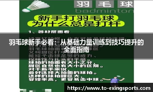 羽毛球新手必看：从基础力量训练到技巧提升的全面指南